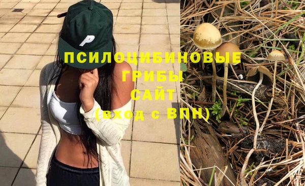 спиды Абдулино