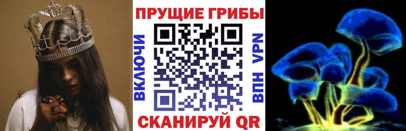 Псилоцибиновые грибы Psilocybe  Урюпинск 
